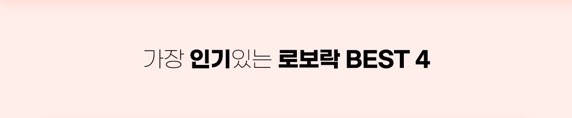 가장 인기있는 로보락 BEST 4