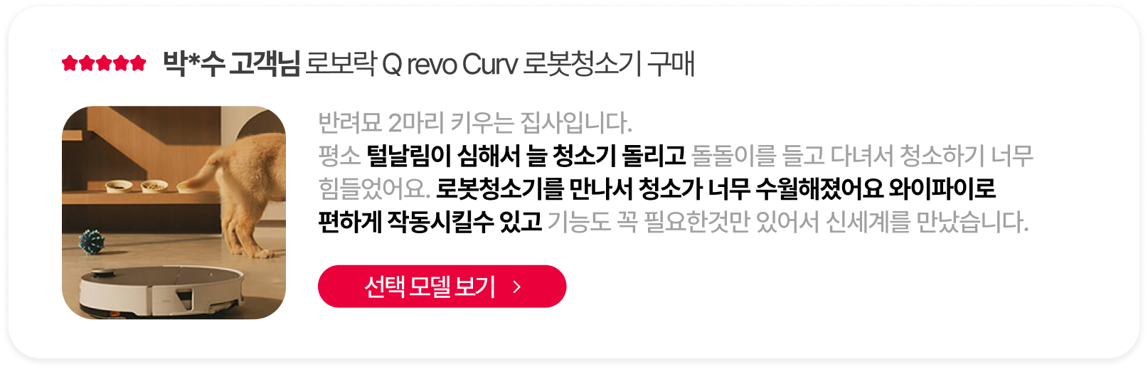 로보락 리뷰