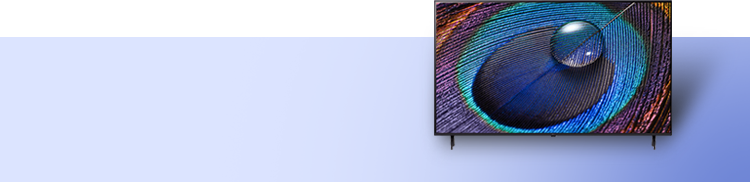 일시불특가 BEST 배너 이미지