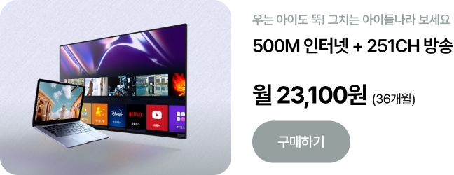 500M 인터넷 + 251CH 방송